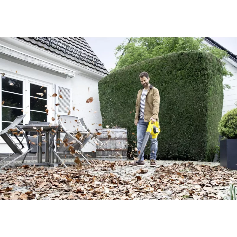 Juhtmeta lehepuhur Lbl 2/aku komplekt 1.445-110.0 Karcher