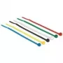 DeLOCK 18627 kaabliside nailon must sinine roheline punane läbipaistev kollane 100 tk 100 mm 2,5 mm