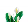 LEGO BOTANICALS 11504 Rahuliilia
