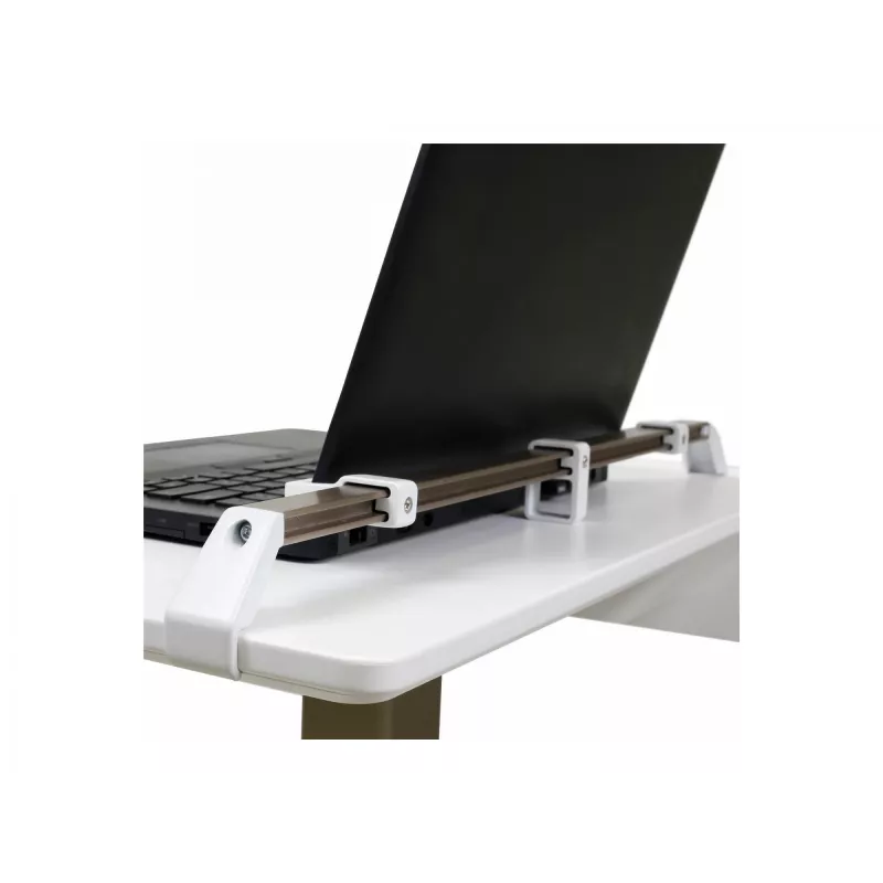 Sülearvuti alus Ergotron C50-1100-0 Hall 39.6 cm