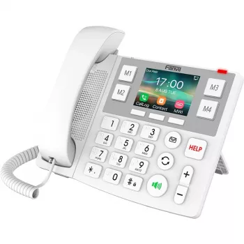IP-telefon Fanvil X305 valge