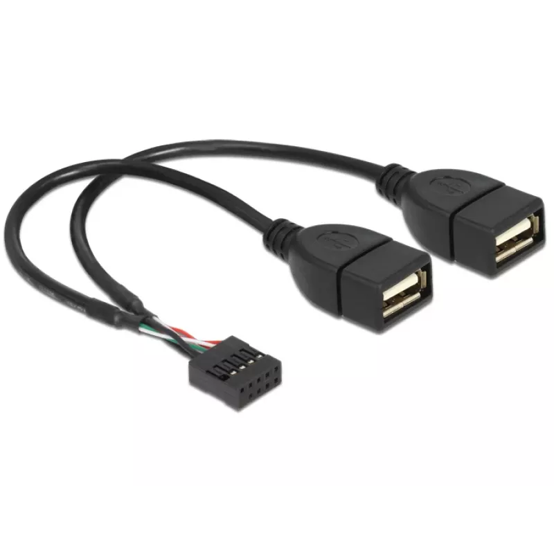 Sisemine USB-kaabel DeLOCK 83292 0,2 m emane-emanele
