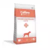 Kuiv koeratoit Calibra Veterinary Diets Gastrointestinal & Pancreas Low Fat — lõhe, 2 kg, 26% valku, 8% rasva, gluteeni- ja sojavaba