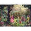 Pusle Thomas Kinkade: Disney Sleeping Beauty