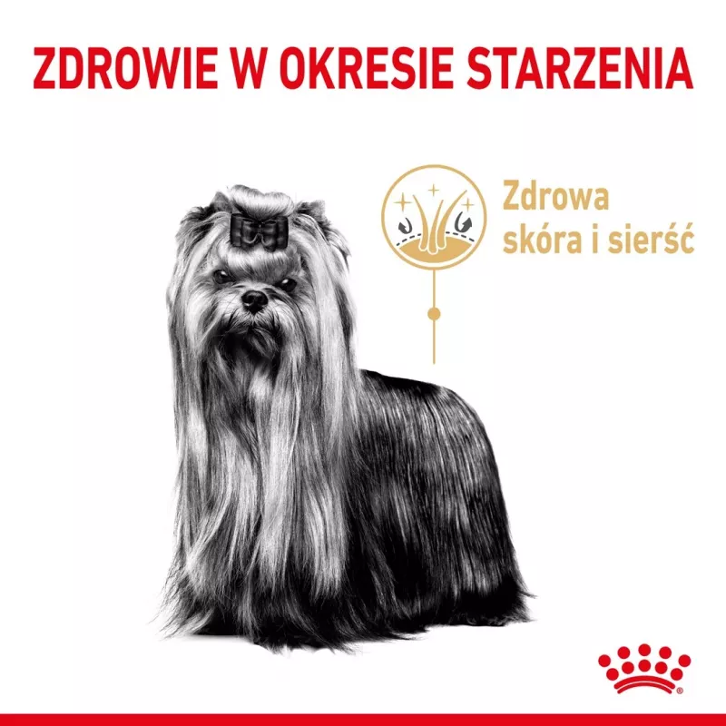 Kuiv koeratoit Royal Canin Yorkshire Terrier 8+ 3 kg — linnuliha, vanemaealistele Yorkshire terjeritele, valk 29%, rasv 18%