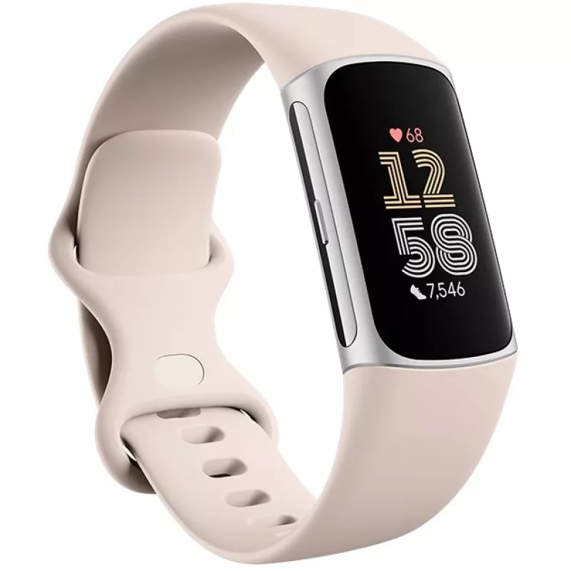 Fitbit GA05185-EU Hõbedane
