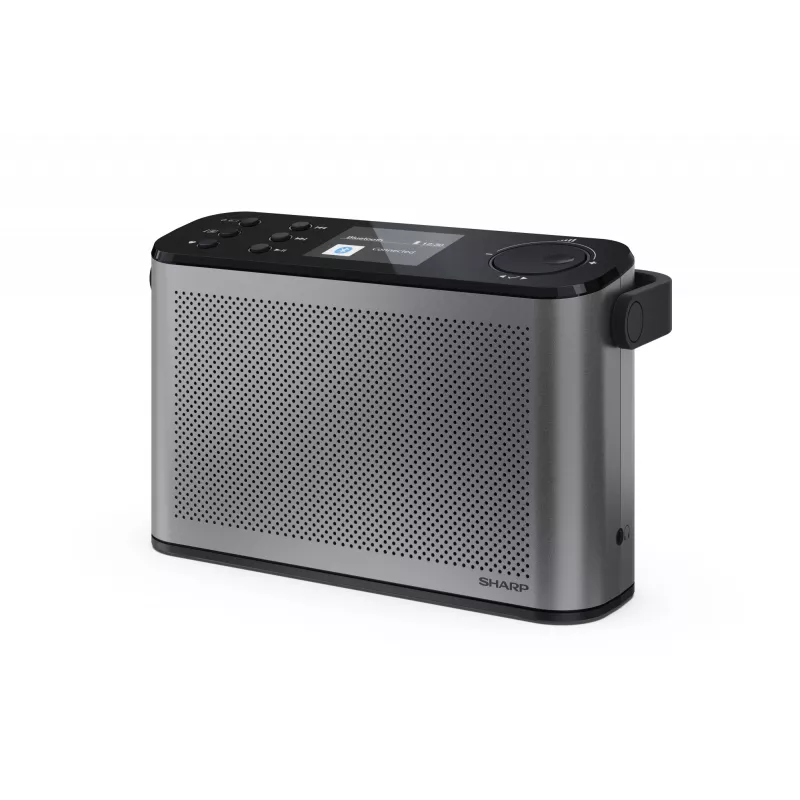 Stereo raadio Sharp OSAKA DR-P540(GY)