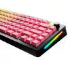 Klahvikatted GLORIOUS GPBT Gradient Grapefruit ANSI paigutusega PBT värvülekandega klahvikatte komplekt