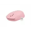 NATEC STORK hiir Kodu Mõlemakäeline RF juhtmevaba + USB Type-A Optiline 1600 DPI