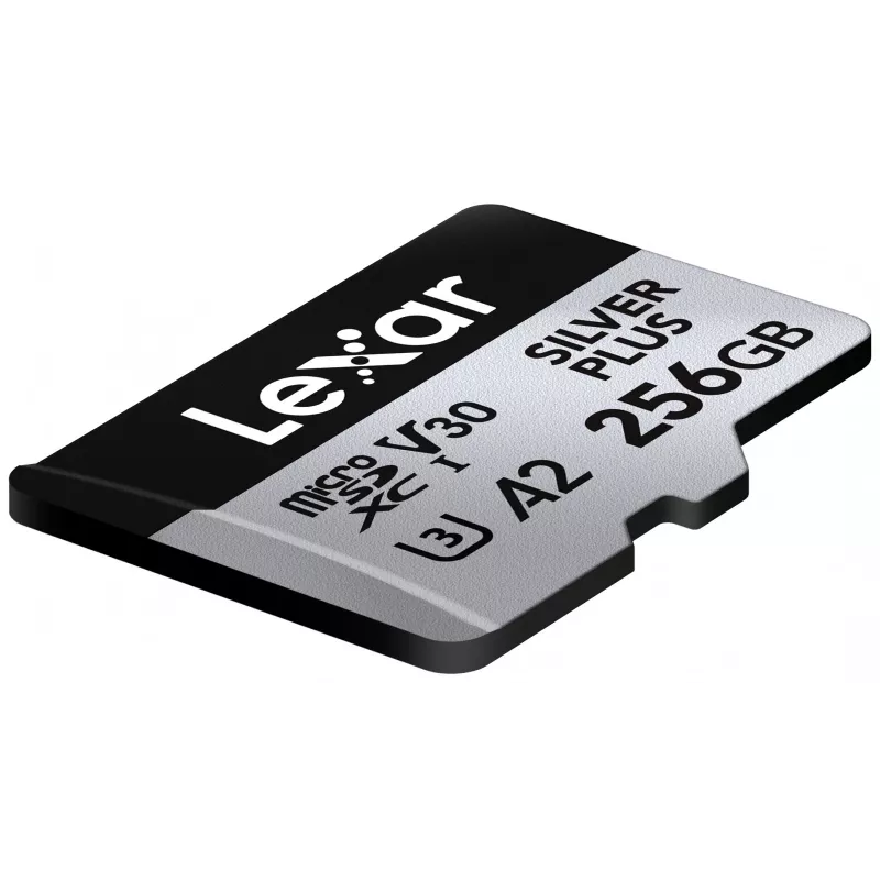 Mälukaart microSD 256GB C10 A2 U3 V30 205/150MB/s Silver Plus