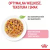 Märg kassitoit Royal Canin Kitten Gravy 85 g — linnuliha, 78% niiskust, 12% valku