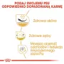 Kuiv koeratoit Royal Canin Shih Tzu Adult 1,5 kg — linnuliha, 24% valku, 20% rasva, väikestele täiskasvanud Shih Tzu'dele
