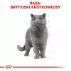 Kuiv kassitoit Royal Canin British Shorthair Adult 2 kg — linnuliha, 34% valku, 19% rasva