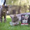 Märg kassitoit VETEXPERT RAW PALEO Adult Sterilised Beef 100 g kotike, monoproteiin, 78% niiskus