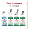 Kuiv koeratoit Royal Canin Adult Mini S 8 kg — täisväärtuslik toitumine väikestele täiskasvanud koertele
