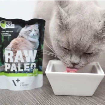 Märg kassitoit VETEXPERT RAW PALEO Adult Venison 100 g — teraviljavaba ühe portsjoni kotike