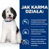 HILL'S PD Canine Urinary Care C/D - märg koeratoit - 370 g