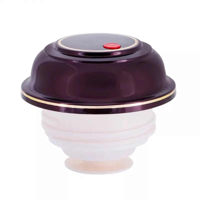 Termospudel ROTPUNKT 330-16-04-0 1 L, kirss, hoiab kuuma 24 h, külma 36 h