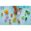 LEGO DUPLO 10457 Karupoeg Puhhi sünnipäevapidu