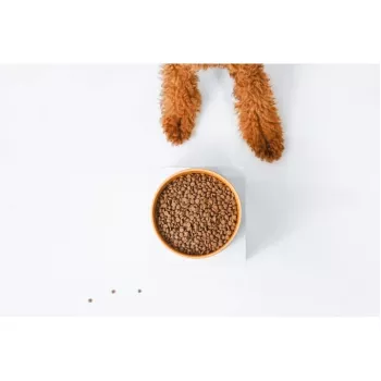 Kuiv koeratoit nature’s protection Superior Care Red Coat Adult Small breed Grain free Salmon 10 kg