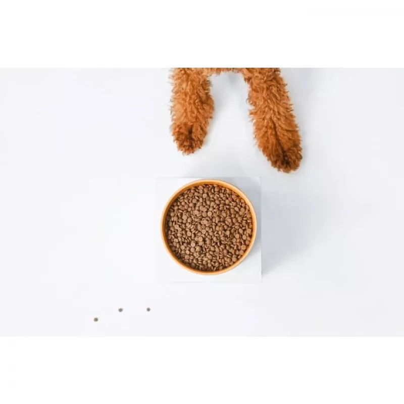 Kuiv koeratoit nature’s protection Superior Care Red Coat Adult Small breed Grain free Salmon 10 kg