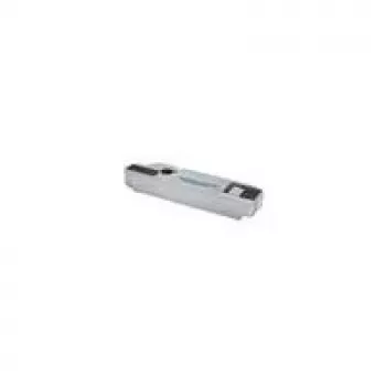 Ricoh 406066 - Type SP C310 - toonerikogur - Aficio SP C311N, Aficio SP C312DN, SP C320dn, SP C340DN, SP C342DN jaoks