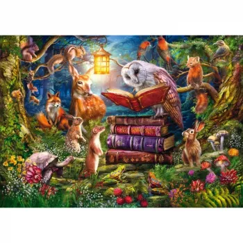 Pusle schmidt spiele Forest Stories at Night – 1000 tükki