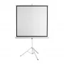 Projektsioonekraan SBOX PSMT-135-2, vaateala 240×240 cm, fikseeritud/seinale kinnitatav