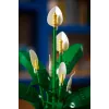 LEGO BOTANICALS 11504 Rahuliilia