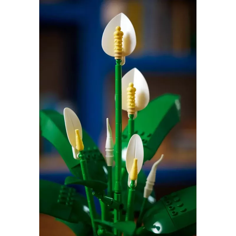 LEGO BOTANICALS 11504 Rahuliilia