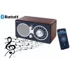 Radio Eltra CZAJKA Bluetooth mudel — kaasaskantav raadio Bluetooth-ühendusega