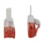 Synergy 21 S216170V2 võrgukaabel 0,25 m Cat6 U/UTP (UTP) valge (S216170V2)