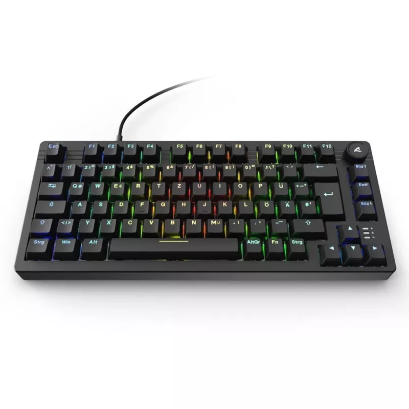 Sharkoon SGK25 klaviatuur Kodu USB QWERTZ Saksa Must 75% RGB LED