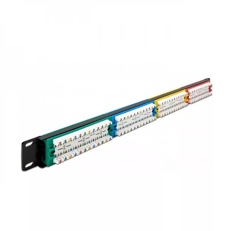 DeLOCK 19-tolline 24-pordiline Cat.5e 1U värviline RJ-45 patch-paneel