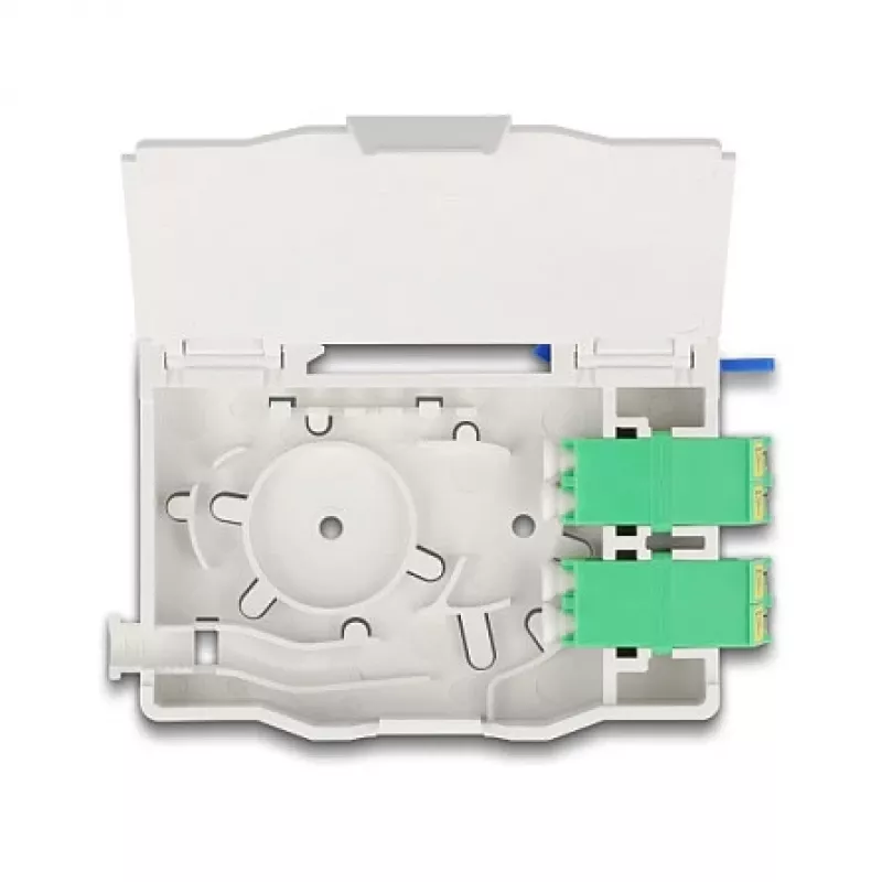 Valguskaabli jaotuskarp DeLOCK Optical Fiber Connection Box 85936 LC Duplex valge