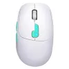 Hiir Defender NITTA MM-307 RF+BT OPTIC 1600dpi 6P VALGE