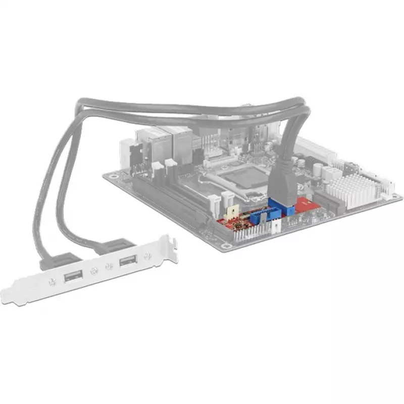Delock Konverter M.2 Key B+M isane > 2 x USB3.0 Pin Header - USB-adapter - M.2-kaart - USB3.0 (sisemine) x 2 (62843)