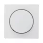 Dimmer Berker 11378989 paigaldatav pöörlev dimmer, valge