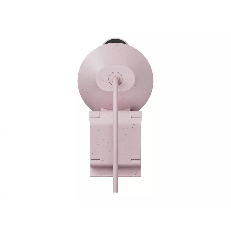 Veebikaamera Logitech Brio 300 2MP Full HD USB-C roosa