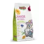 ALEGIA Junior Natural - toit koduürgudelitele - 650g