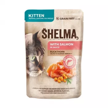 SHELMA kassipojale lõhega kastmes - märg kassitoit - 85 g