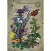 Pusle Ravensburger Circle of Life Butterfly 1000 tk