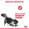 Kuiv kassitoit Royal Canin Digestive Care 4 kg — Täiskasvanud, linnuliha, seedimise toetamine