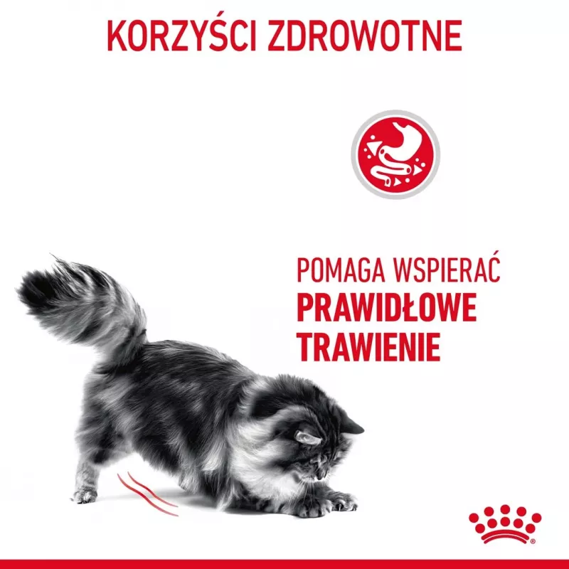 Kuiv kassitoit Royal Canin Digestive Care 4 kg — Täiskasvanud, linnuliha, seedimise toetamine