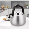 Veekeetja Maestro MR-1318 2,5 l hõbedane, must