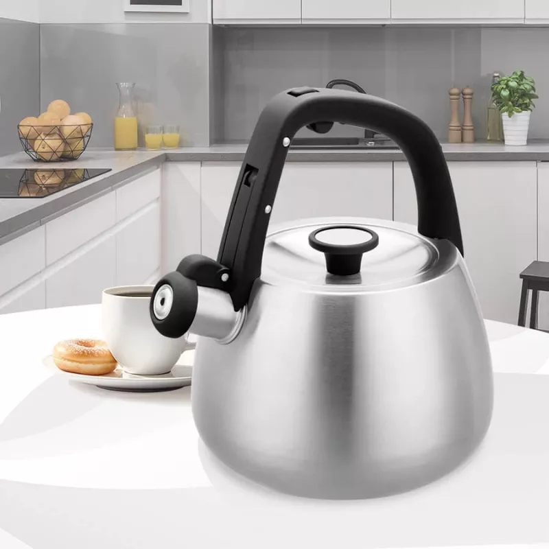 Veekeetja Maestro MR-1318 2,5 l hõbedane, must