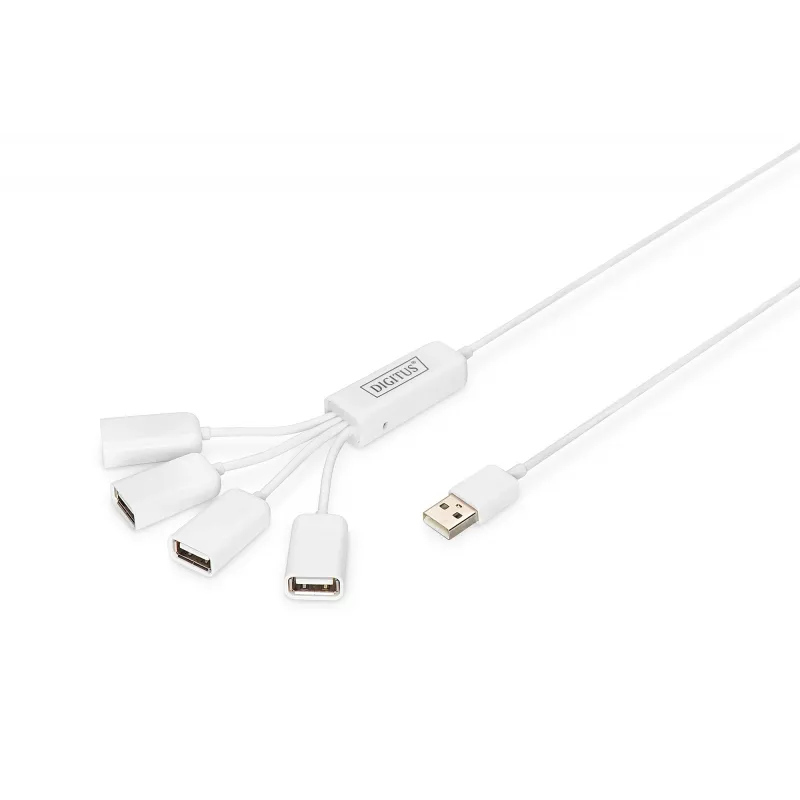Delock USB-adapter - USB Type A (naissoost) kuni 24-kontaktiline USB-C (meessoost)