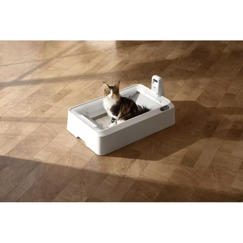 Isepuhastuv kassiliivakast PETKIT T7-EU, valge
