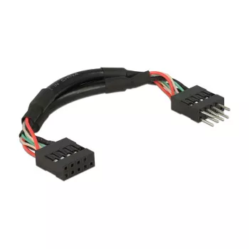 Kaabel DeLOCK 0,1m 2xUSB 2.0 10p