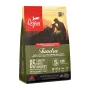 ORIJEN Tundra - kuiv koeratoit - 2 kg
